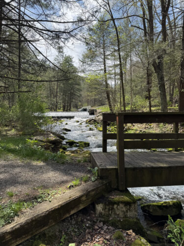 Ravensburg  State Park is a hidden gem in  Clinton County